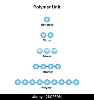 Wissenschaftliche Gestaltung der Polymerisierungsreaktion. Umwandlung von Monomeren in Polymer. Bunte Symbole. Vektorgrafik. Stock Vektor