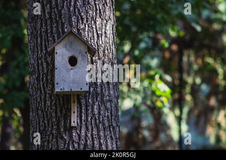 Vogelhaus-Nistkasten aus Holz auf dem Baum Stockfoto