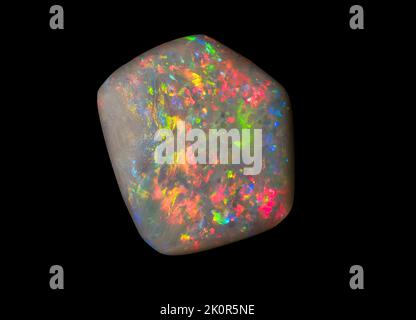 Australische Opal-Edelsteine, aufgenommen auf einem schwarzen Hintergrund, um die wunderschöne Farbe und das Muster dieses Natursteins hervorzuheben. Projekt mit Damien Hirst. Stockfoto