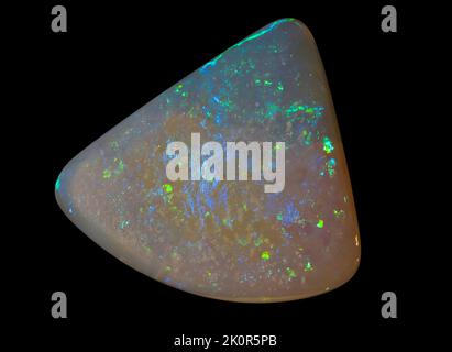 Australische Opal-Edelsteine, aufgenommen auf einem schwarzen Hintergrund, um die wunderschöne Farbe und das Muster dieses Natursteins hervorzuheben. Projekt mit Damien Hirst. Stockfoto