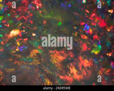 Makroaufnahme des Gesichts eines australischen Opal-Edelsteins. Schwarzes Opalfeuermuster mit Rot-, Orangen-, Grün- und Blautönen. Stockfoto