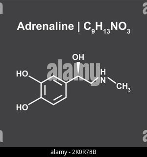 Adrenalin-Molekül (C9H13NO3) Chemische Struktur. Vektorgrafik. Stock Vektor