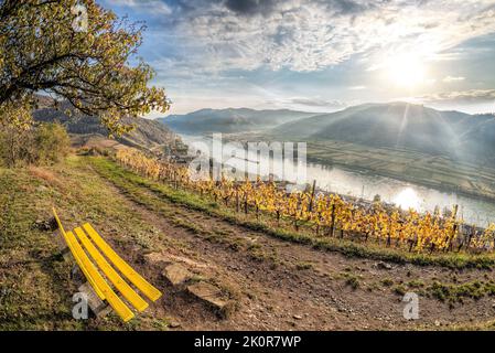 Bunte Weinberge in Wachau-Tal gegen Spitz-Dorf mit Donau in Österreich, UNESCO Stockfoto