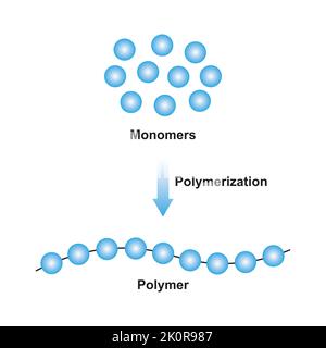 Wissenschaftliche Gestaltung der Polymerisierungsreaktion. Umwandlung von Monomeren in Polymer. Bunte Symbole. Vektorgrafik. Stock Vektor