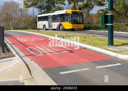 Adelaide, Australien - 10. August 2019: Der Adelaide Metro-Bus fährt vom Salisbury Interchange in die Stadt. O-Bahn Bus ist ein geführter Bus Stockfoto