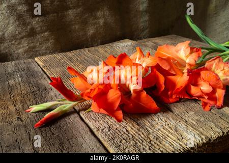 Ein Strauß heller Blumen auf dunklem Hintergrund. Stiel mit Blütenblättern aus der Nähe. Stockfoto