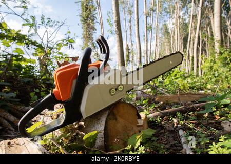 Arbeitswerkzeug Benzin Kettensäge auf Log im Wald liegend Stockfoto