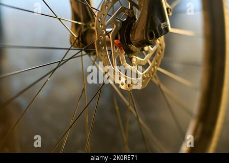 Vordere Scheibenbremse eines Mountainbikes Stockfoto
