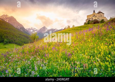 Tarasp mit bunten Wildblumen und Wiesen im Frühling, Engadin, Schweizer Alpen Stockfoto