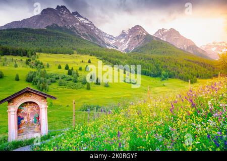 Tarasp mit bunten Wildblumen und Wiesen im Frühling, Engadin, Schweizer Alpen Stockfoto