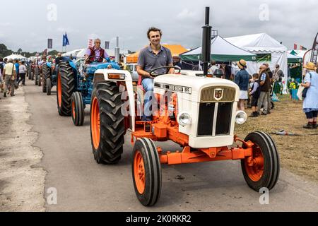 David Brown 885 Diesel Tractor, 1971 - 1980, Farm Machinery Parade, Dorset County Show 2022, Dorset, Großbritannien Stockfoto