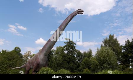 Gigantischer pflanzenfressender Dinosaurier - Brachiosaurus. Dino in der Natur. Stockfoto