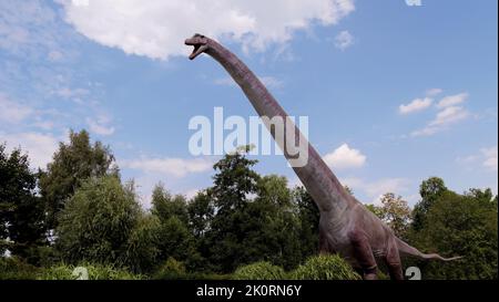 Gigantischer pflanzenfressender Dinosaurier - Brachiosaurus. Dino in der Natur. Stockfoto