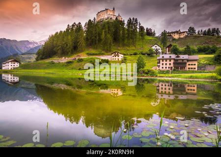 Tarasp mit bunten Wildblumen und Wiesen im Frühling, Engadin, Schweizer Alpen Stockfoto