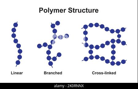Wissenschaftliches Design der Klassifizierung von Polymerstrukturen. Polymer und seine Typen. Bunte Symbole. Vektorgrafik. Stock Vektor