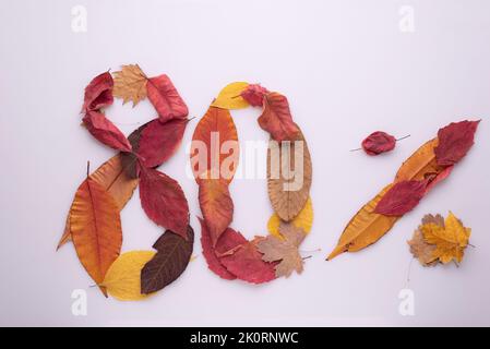 Achtzig Prozent der Herbstblätter stehen auf weißem Hintergrund. Stockfoto