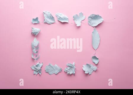 Herbst Komposition Quadrat aus Herbstblättern mit blauer Farbe auf einem rosa Hintergrund minimal Konzept. Stockfoto