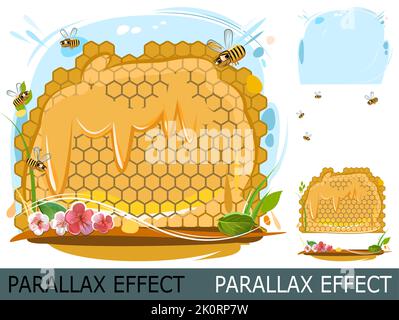 Bienenwabe. Bienen sammeln Nektar, holen Honig, geben ihn in Wachszellen. Isoliertes Objekt auf weißem Hintergrund. Rieselt Honig. Bild aus Ebenen für Stock Vektor