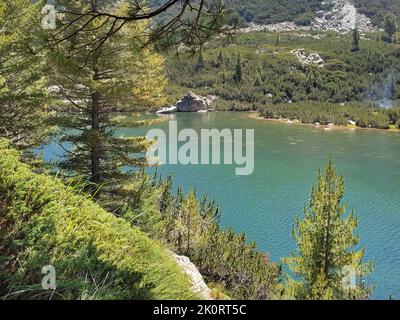 Karkamski See, Bulgarien, Pirin Berge Kiefernwald, Sommerlandschaft Stockfoto