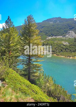 Karkamski See, Bulgarien, Pirin Berge Kiefernwald, Sommerlandschaft Stockfoto