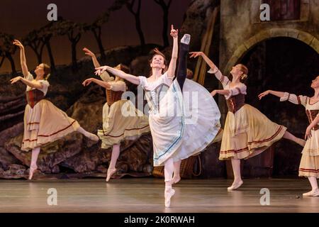 London Coliseum, London, Großbritannien. 13.. September 2022. Das neu gegründete United Ukrainian Ballet, eine Gruppe von Flüchtlingstänzern, spielt Giselle im London Coliseum. Unter der Leitung des renommierten Choreographen Alexei Ratmansky. Unterstützt von der English National Opera und dem Birmingham Royal Ballet, die die Kostüme, das Bühnenbild und das Orchester lieferten, sowie Gastmusiker wie Alina Cojocaru und Alexandr Trusch. Amanda Rose/Alamy Live News Stockfoto