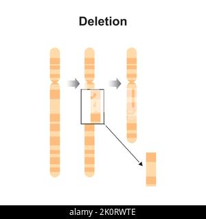 Wissenschaftliche Gestaltung der Deletion chromosomale Mutation. Bunte Symbole. Vektorgrafik. Stock Vektor