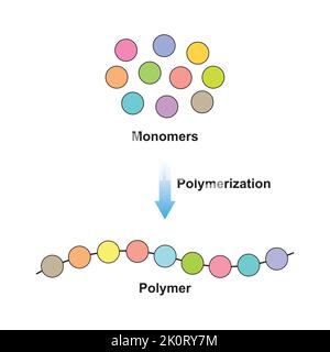 Wissenschaftliche Gestaltung der Polymerisierungsreaktion. Umwandlung von Monomeren in Polymer. Bunte Symbole. Vektorgrafik. Stock Vektor