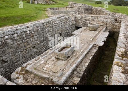 Die kommunale Latrinen (Toiletten) bei Housesteads Roman Fort in Northumberland National Park, England Stockfoto