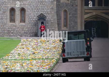 Windsor, Großbritannien. 13.. September 2022. Ein wunderschöner Blumenteppich, der von der Öffentlichkeit hinterlassen wurde, säumte nun die Fahrt vom Cambridge Gate zum Windsor Castle auf dem Long Walk. Quelle: Maureen McLean/Alamy Live News Stockfoto