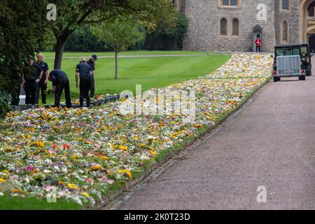 Windsor, Großbritannien. 13.. September 2022. Ein wunderschöner Blumenteppich, der von der Öffentlichkeit hinterlassen wurde, säumte nun die Fahrt vom Cambridge Gate zum Windsor Castle auf dem Long Walk. Quelle: Maureen McLean/Alamy Live News Stockfoto