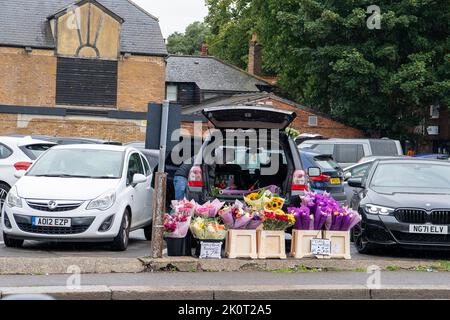 Windsor, Großbritannien. 13.. September 2022. Ein Mann verkauft frech Blumen aus dem Kofferraum eines Autos, das auf einem Parkplatz in Windsor geparkt ist. Quelle: Maureen McLean/Alamy Live News Stockfoto