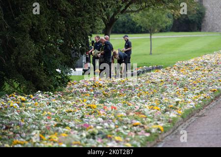 Windsor, Großbritannien. 13.. September 2022. Ein wunderschöner Blumenteppich, der von der Öffentlichkeit hinterlassen wurde, säumte nun die Fahrt vom Cambridge Gate zum Windsor Castle auf dem Long Walk. Quelle: Maureen McLean/Alamy Live News Stockfoto