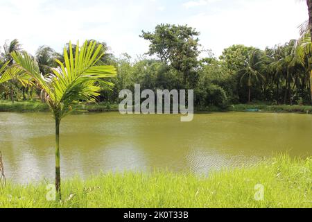 Natur Stockfoto