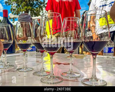 Bei so vielen Tränen gibt es kein trockenes Auge auf der Welt. Im Chateau Phelan Segur werden die Dinge mit Stil erledigt. Hier werden den Teilnehmern des Marathon des Chateaux du Medoc 36. Rotwein in Gläsern serviert Stockfoto