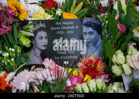 London, Großbritannien. 13. September 2022. Ein Garten mit Blumengedenken im Green Park zur Erinnerung an Königin Elizabeth die zweite, die am 8.. September im Alter von 96 Jahren starb. Morgen wird er den Sarg vom Buckingham Palace zum Palace of Westminster trave, wo er 4 Tage vor ihrer Beerdigung am 19.. September in einem Zustand liegen wird. Kredit: Karl Black/Alamy Live Nachrichten Stockfoto