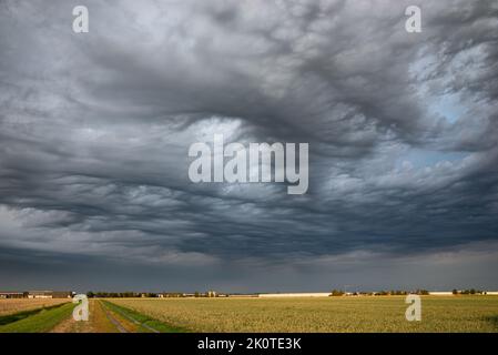 Unheilvoller Sturmhimmel über dem Land. Diese dramatischen Wolken sind in der Meteorologie als Altocumulus asperitas bekannt. Stockfoto