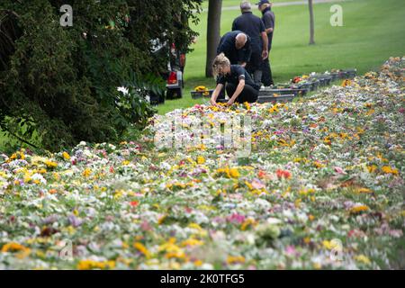 Windsor, Großbritannien. 13.. September 2022. Gärtner vom Crown Estate legten Blumen aus, die von Mitgliedern der Öffentlichkeit auf den Rasen im Windsor Castle am Cambridge Gate hinterlassen wurden. Quelle: Maureen McLean/Alamy Live News Stockfoto