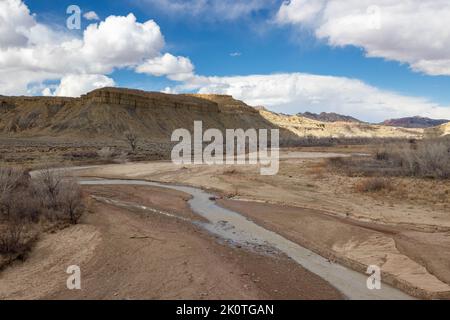 Der Paria River, der durch ein sandig anmutendes Flussbett unter den Formationen Tropic Shale und Straight Cliff fließt. Grand Staircase-Escalante National Monument, U Stockfoto