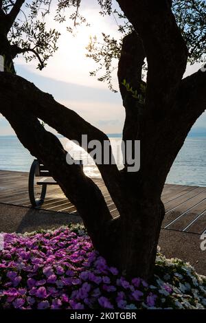 Strandpromenade in Bardolino am Gardasee, bei Sonnenuntergang Stockfoto