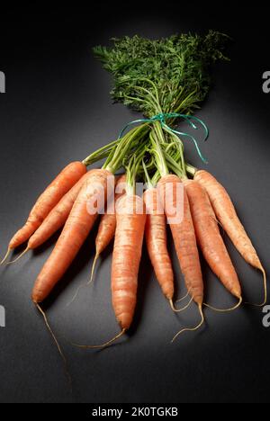 Reihe von Bio-Karotten auf dunklem Hintergrund Stockfoto