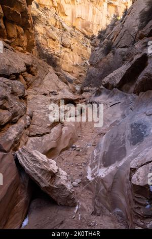 Die Wand des fernen Canyons wurde mit reflektiertem Sonnenlicht beleuchtet, das von den nahe gelegenen Wänden der Cottonwood Narrows abprallte. Grand Staircase-Escalante National Monumen Stockfoto