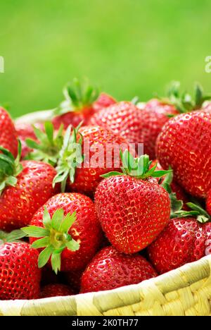 Nahaufnahme von einem Korb voll mit frischen saftigen Erdbeeren Stockfoto
