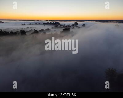 Bilder vom Drohnenflug über den Nebel. Fluss, Wald, Felder und Wiesen in nebliger Sommerdämmerung. Stockfoto