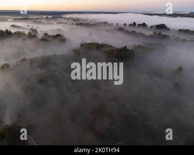 Bilder vom Drohnenflug über den Nebel. Fluss, Wald, Felder und Wiesen in nebliger Sommerdämmerung. Stockfoto