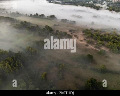 Bilder vom Drohnenflug über den Nebel. Fluss, Wald, Felder und Wiesen in nebliger Sommerdämmerung. Stockfoto