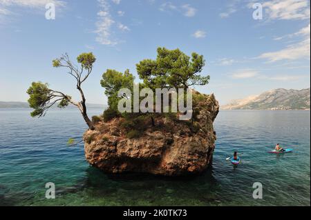 Die kleine Insel, Symbol von Brela. Pärchen auf Paddelbrettern im Wasser. Stockfoto