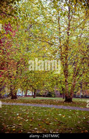 Schiller Park im Herbst Farben, Deutsche Dorf Nachbarschaft, Columbus, Ohio, USA Stockfoto