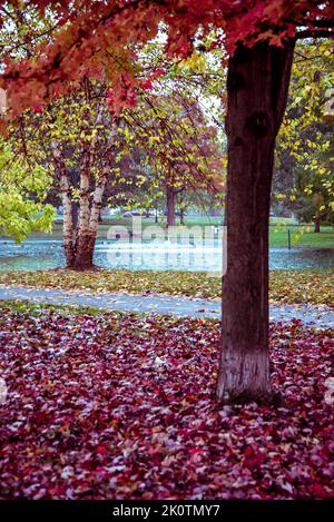 Schiller Park im Herbst Farben, Deutsche Dorf Nachbarschaft, Columbus, Ohio, USA Stockfoto