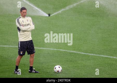 Turin, Italien. 13. September 2022. Roger Schmidt Cheftrainer von SL Benfica reagiert vor dem Training im Juventus Stadium, Turin. Bilddatum: 13.. September 2022. Bildnachweis sollte lauten: Jonathan Moscrop/Sportimage Kredit: Sportimage/Alamy Live News Stockfoto