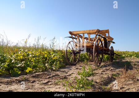 Altes Pferdefahrzeug auf einem Ackerfeld. Alter Bauernwagen oder -Wagen aus Holz und Metall. Stockfoto